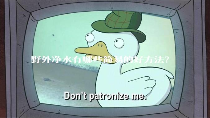 野外净水有哪些简易的好方法？